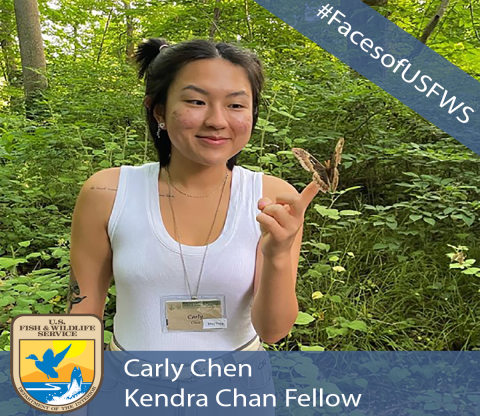 A girl looking at a butterfly that is perched on her finger. A banner in the top right corner says "#Faces of the Fish and Wildlife Service. A banner across the bottom reads "Carly Chen, Kendra Chan Fellow". An image of the U.S. Fish and Wildlife Service logo is in the bottom right corner.