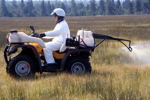 A person on an ATV with a tank on the back spraying the field behind them.