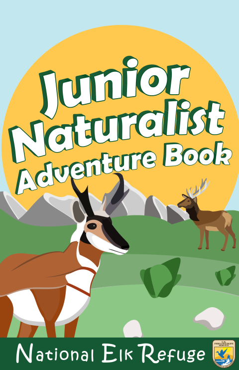 Drawing of a mountain scene with a pronghorn and elk and text that reads "Junior Naturalist Adventure Book" and "National Elk Refuge" with USFWS logo