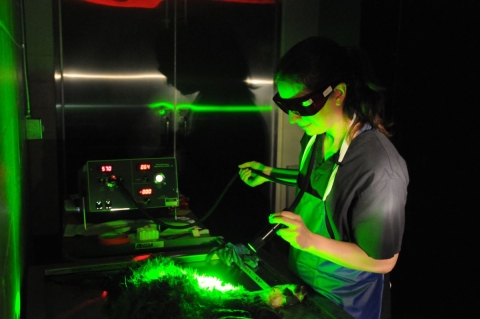 Veterinary Pathologist Rebecca Kagan