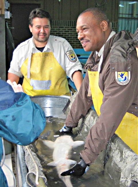 Roderick May speaks with staff while holding a pallid sturgeon. 