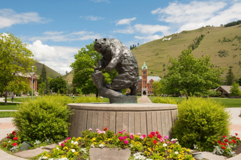 A silver statue of a grizzly bear surrounded by flowers with buildings and a green hill in the distance