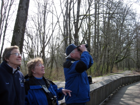 2 women and a man look up into the trees, the man with binoculars, from a boardwalk.