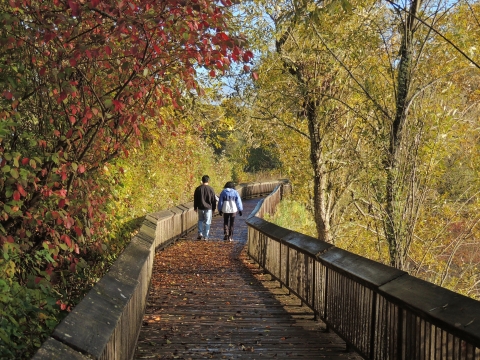 A man and woman walk away from the photographer on a boardwalk trail winding through deciduous trees with brightly colored autumn leaves in sunshine.