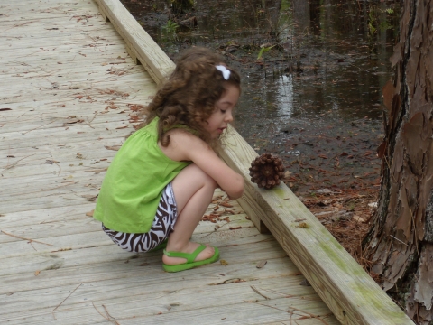 Young girl examining pine cone on trail at St. Marks NWR.