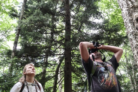 Two people standing in a forest looking up, one using binoculars
