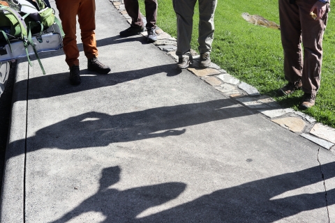 Shadows of people standing along a sidewalk