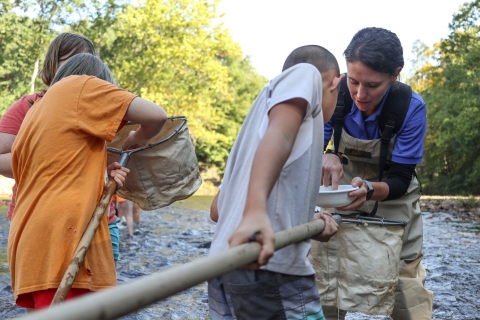Three students and one adults standing in a river. The students are holding nets, the adults pointing into a small bowl.