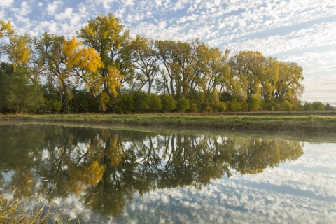 A cloudy blue sky and trees with yellow leaves are reflected in calm waters.