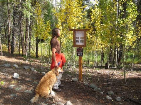 A woman with a dog reads a trail sign. She on a forest trail surrounded by trees with yellow leaves.
