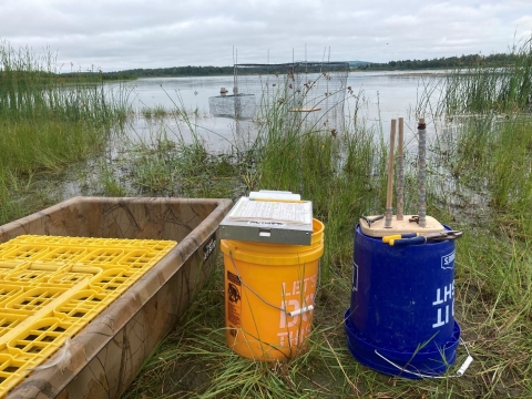 equipment set up at a waterfowl banding station on the edge of a wetland