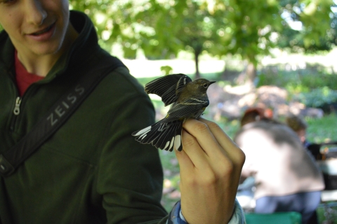 a young man holds a bird in his hand