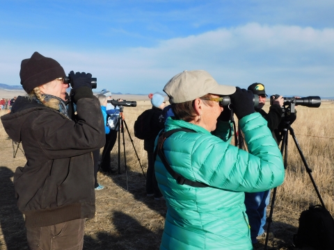 Birders view cranes in a field