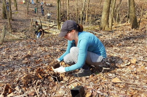 volunteers in a forest working on habitat restoration. A person in the foreground wearing a hat and gloves kneels down to the ground as they work