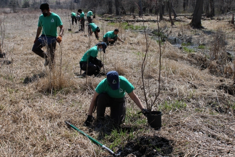 people in green shirts plant trees in a light brown grassy field.