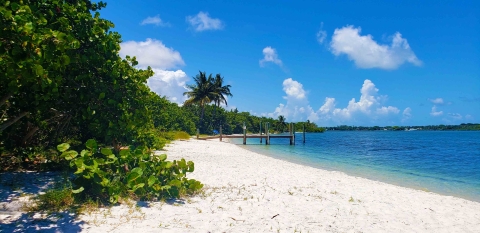 A white sandy beach with palm trees and other vegetation bordering the water's edge.