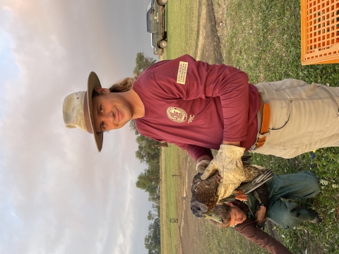 ACE intern holding mallard duck during bird banding process. 