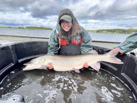 Women holding a muskellunge. 
