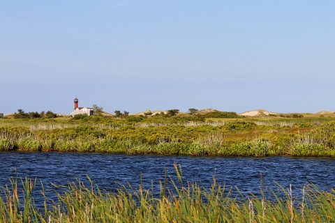 Water passing through a lush green habitat. A lighthouse is seen off in the distance
