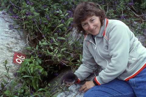 Susan Jewell, FWS Scholar, holds a puffin chick or puffling. 