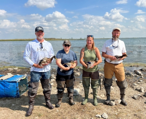 4 biologists are each holding a duck standing in front of a wetland 