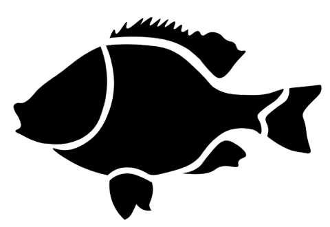 Black illustration of a silhouette of a fish. The fish is short and round with a spiky top fin.