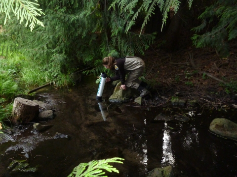 A Service biologist uses an aquascope to search for potentially invasive species