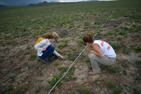 two women huddle near the ground collecting plant information