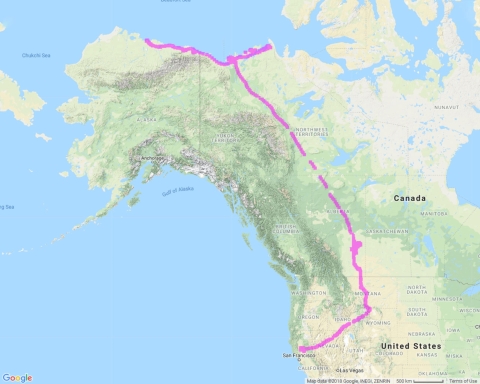 Map of snow geese migration from Alaska to Central California.