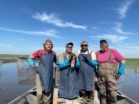 4 biologists standing on a boat in a wetland and one biologist is holding a duck