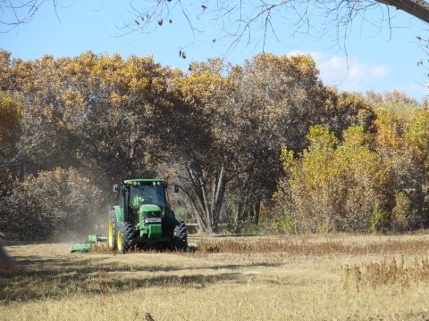 a tractor moves through a field surrounded by vegetation