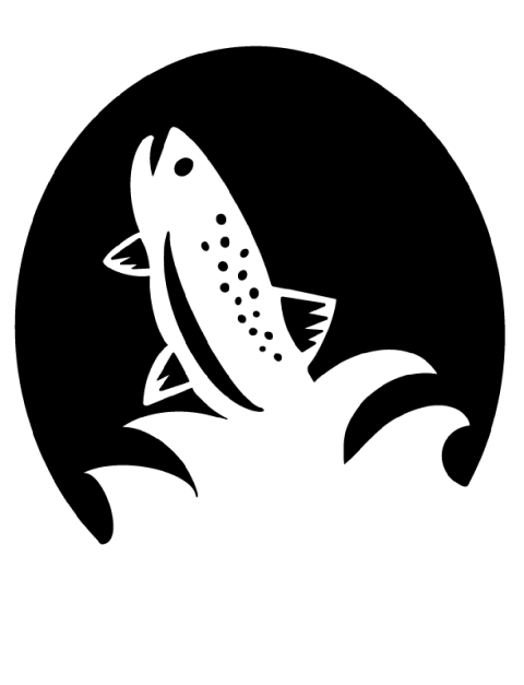 Illustration contains a black silhouette with a white, spotted fish jumping out of the water