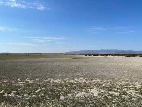 a landscape of a dry marsh under a blue sky
