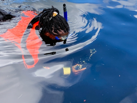 USFWS digital media intern, Typhanie Shepherd, snorkels as she captures sub-surface video footage