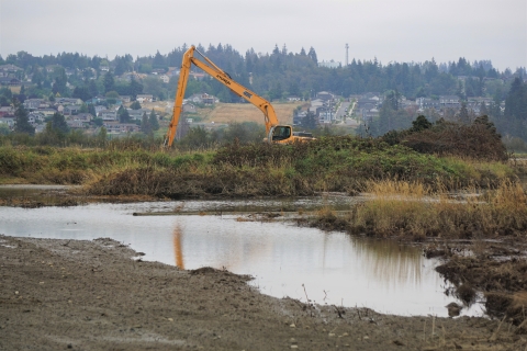 Yellow excavator near a slough with distant houses