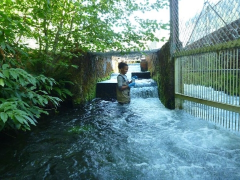 A woman standing in water up to her waist with lab gloves on holding a tube and smiling as water rushes near her.