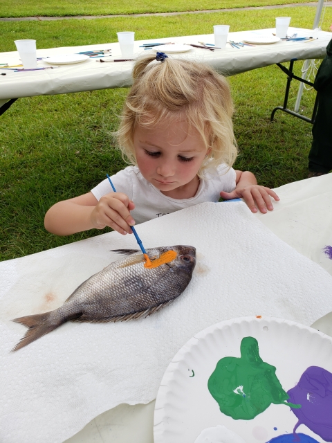 A little girl chooses orange from her palette of colors and is painting a real fish. She will use the painted fish to create her Fish Art T-shirt. 