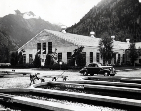 Old black and white photo of front of hatchery building