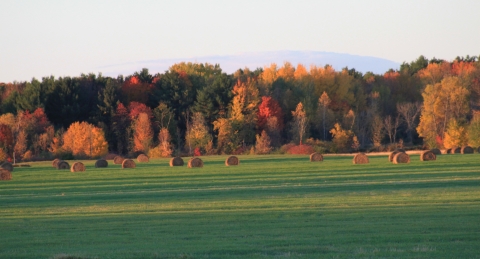 autumn colors and a field of hay bales