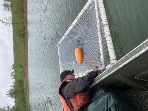 Holding net in water.