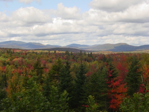 a view over colorful tree tops with rolling mountains in the distance
