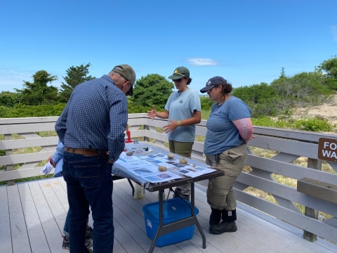 Visitors at the shorebird table during a Beach Discover Event