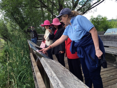 A woman in volunteer clothing points to a sign while 3 women in sunhats look, all standing on boardwalk, with a person viewing something through binoculars behind them.