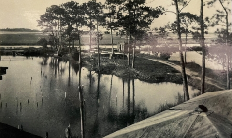 Black and white photograph of the research ponds at Bears Bluff Laboratories from the 1950's