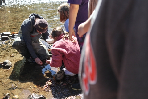 Biologists kneeling on the edge of a river is reaching down to pick something up as students watch