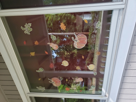 View of window from the outside, covered with pumpkin and leaf decals. Decals help prevent birds from striking the windows.