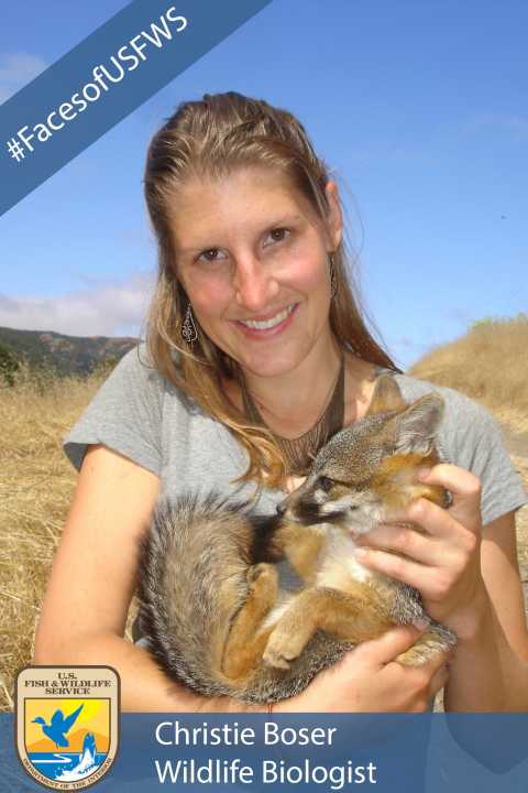 A woman smiling at the camera while holding a small fox. A banner in the top left corner reads #FacesofUSFWS. A banner along the bottom reads Christie Boser, Wildlife Biologist. The USFWS logo appears in the bottom left corner.