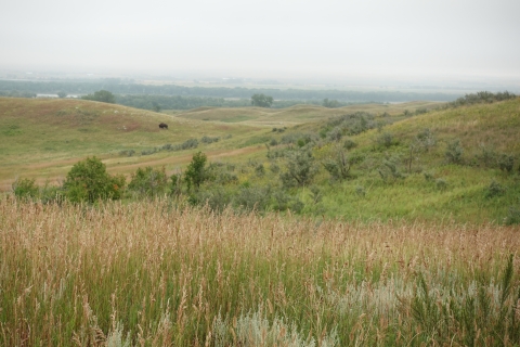 A valley of grassland