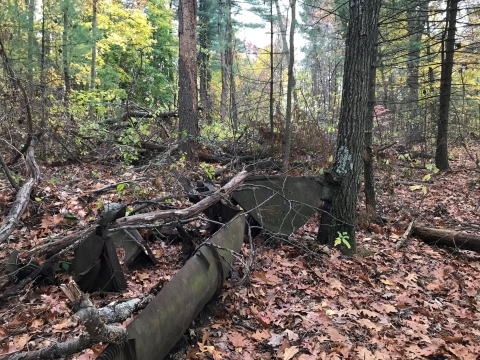 Large pieces of rusty metal in a wooded area