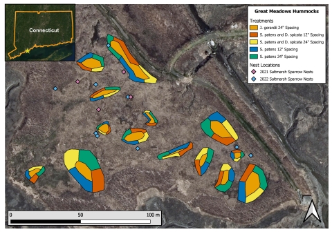 aerial map shows different types of vegetation making up different hummocks, surrounded closely by saltmarsh sparrow nests 